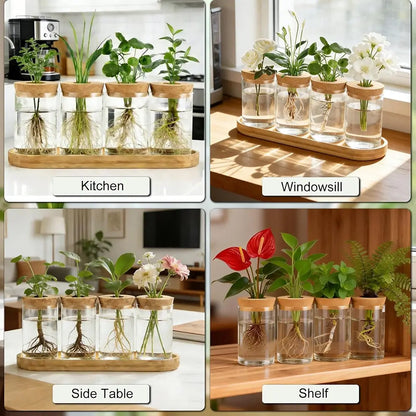 Glass Propagation Station with Wooden Stand - Set of 4