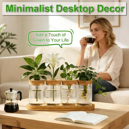 Glass Propagation Station with Wooden Stand - Set of 4