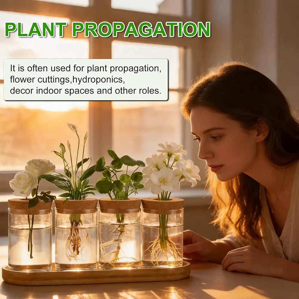 Glass Propagation Station with Wooden Stand - Set of 4