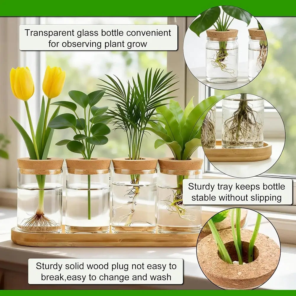 Glass Propagation Station with Wooden Stand - Set of 4