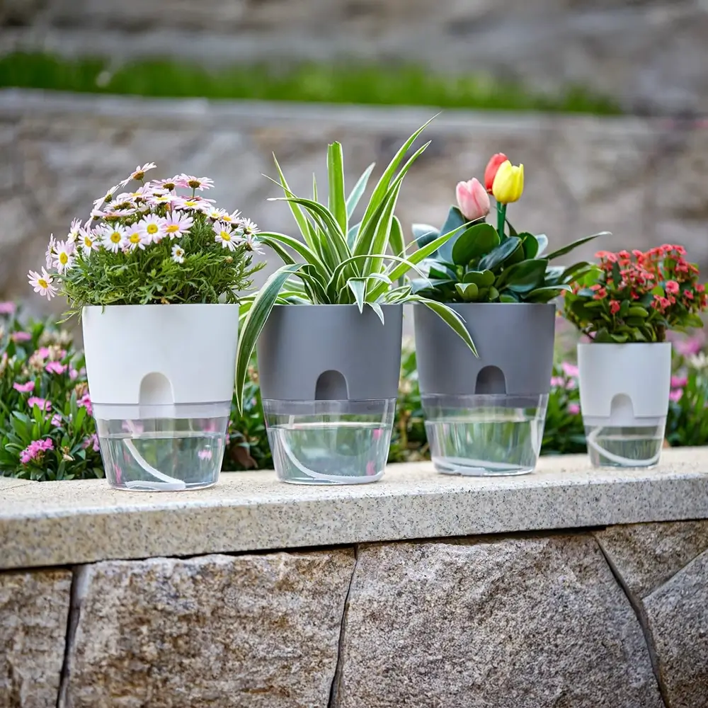 Four potted plants with transparent water containers on a stone ledge.