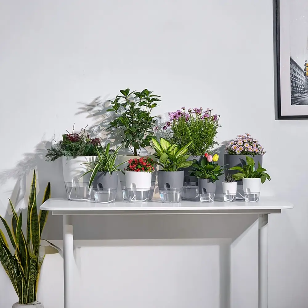 Collection of potted plants on a white table against a light gray wall.