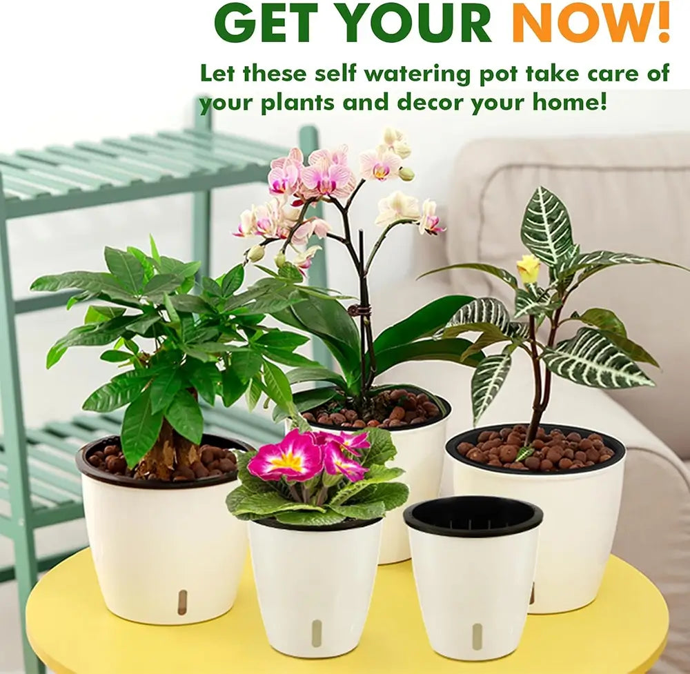 Set of self-watering pots with plants on a yellow table, promotional text above.