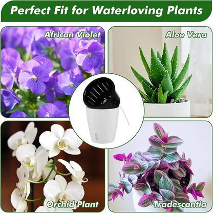 Collage of plants with a water dropper labeled 'Perfect Fit for Waterloving Plants'.