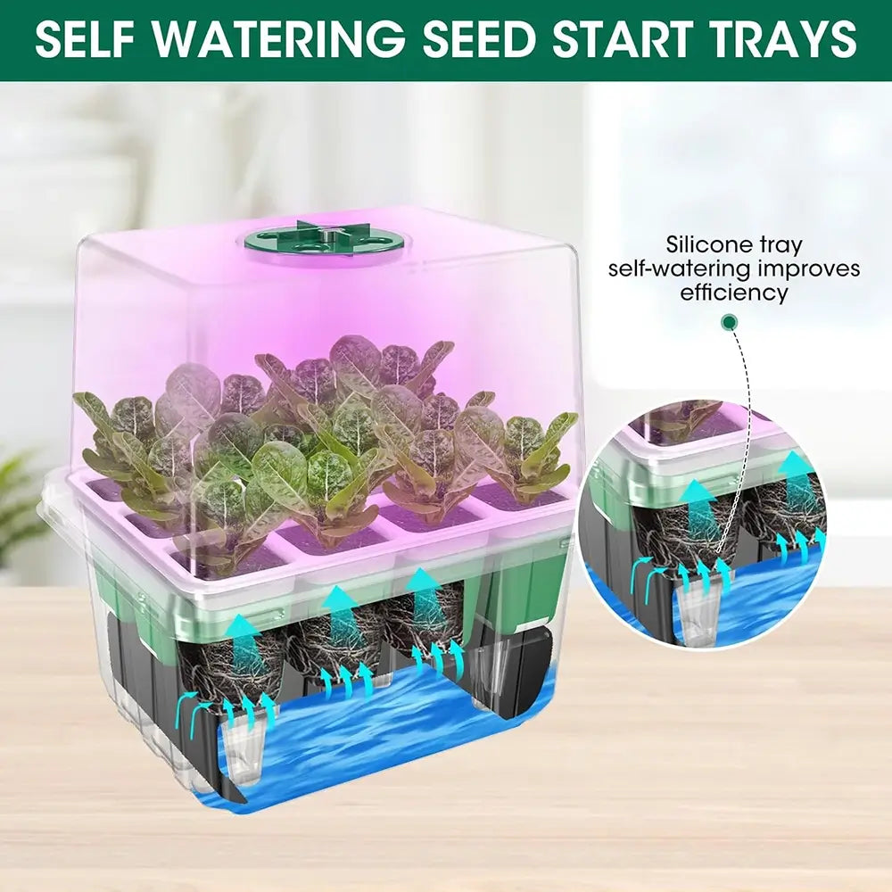 seedling starter tray with red blue white grow light