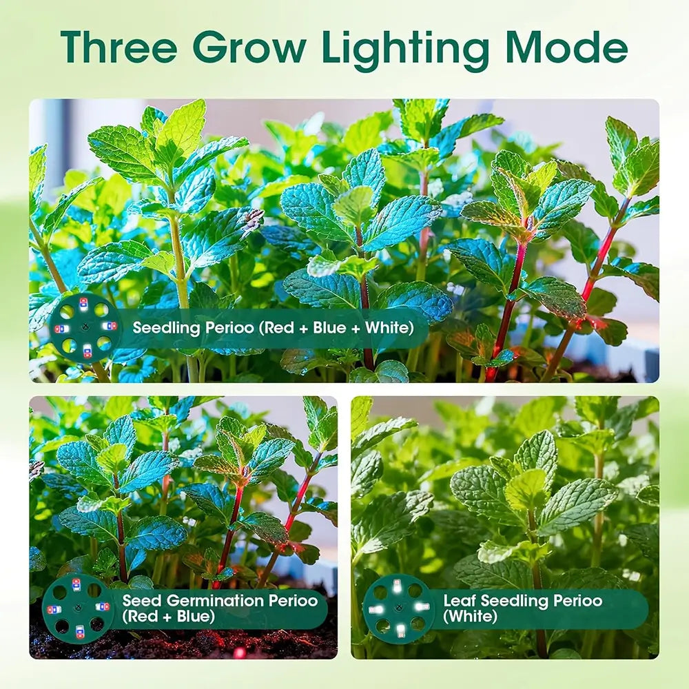Three images of plants with text indicating different grow lighting modes.