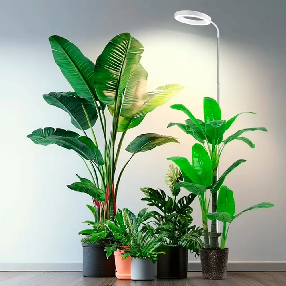 Full spectrum LED grow light for indoor plants with height adjustable  stand from our indoor gardenind essentioal
