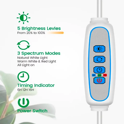 Control panel for a light therapy device with brightness, spectrum, and timing features on a white background.