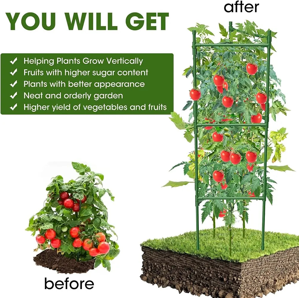 Garden trellis with tomatoes before and after use, showing improved garden appearance.