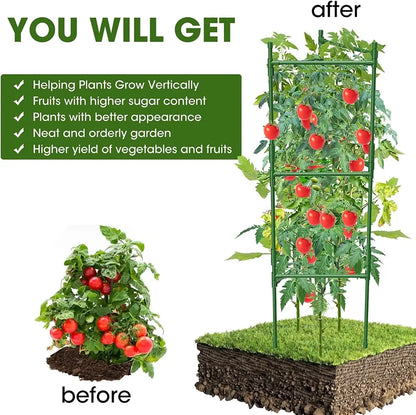 Garden trellis with tomatoes before and after use, showing improved garden appearance.