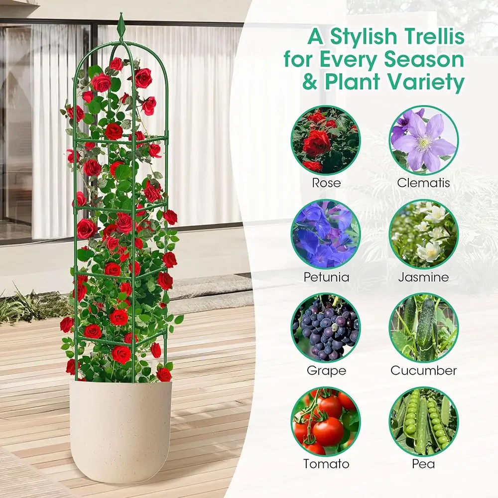 Trellis with climbing plants in a pot, surrounded by images of various plants and flowers.