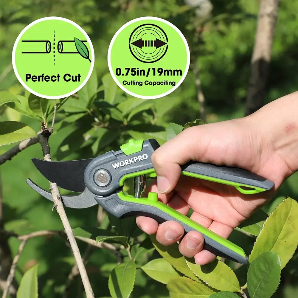 Hand holding a green and gray pruning shear with tree branches in the background