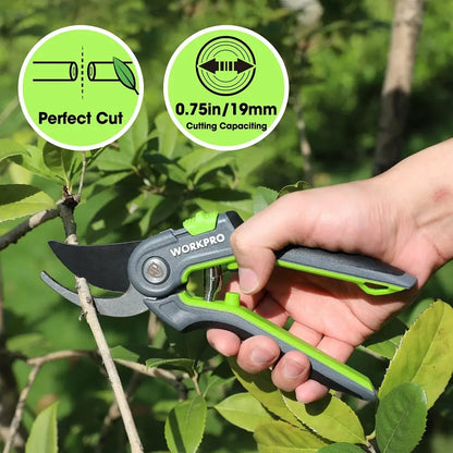 Hand holding a green and gray pruning shear with tree branches in the background