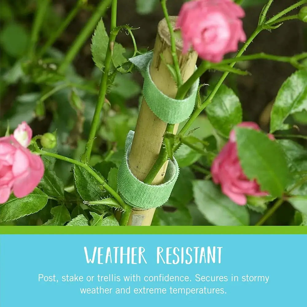 Pink flowers with a green ribbon tied around a wooden stake, set against a natural background.