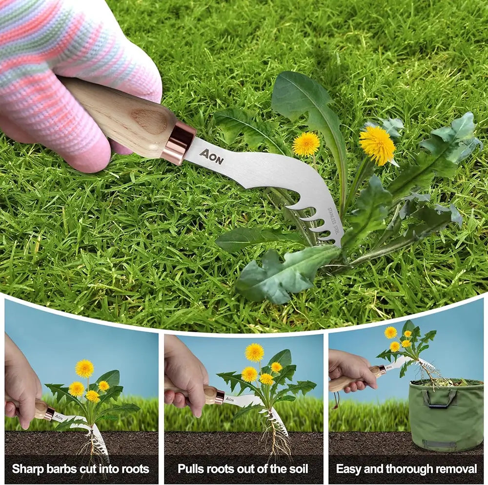 aon Crack Weeder & Root Remover Tool Set